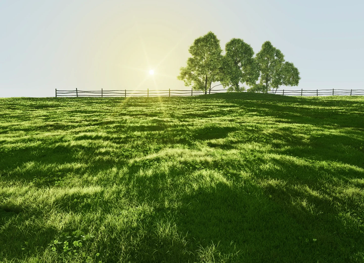 Low sunlight casts long tree shadows across a dense grassy meadow beside a wooden fence.